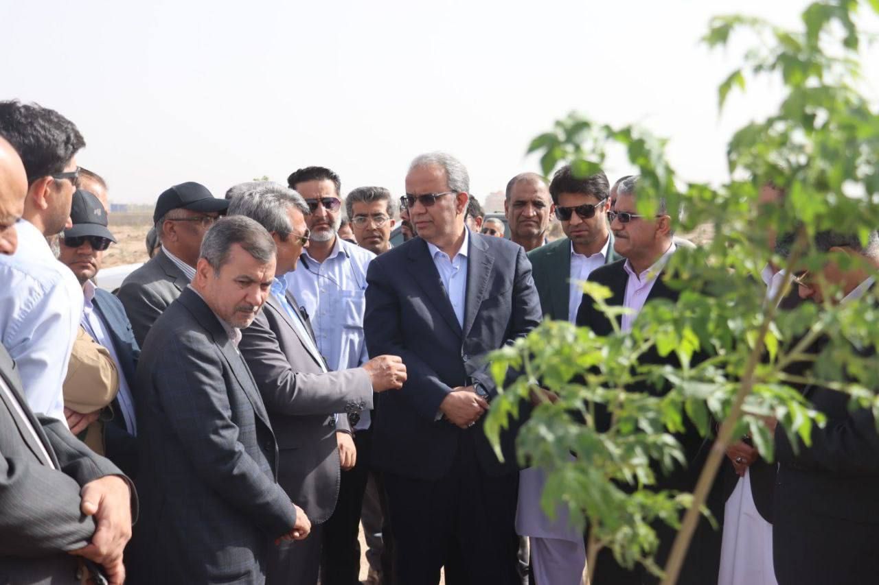 پارک جنگلی زاهدان؛ امید تازه ای برای تنفس شهری پارک جنگلی زاهدان؛ امید تازه ای برای تنفس شهری