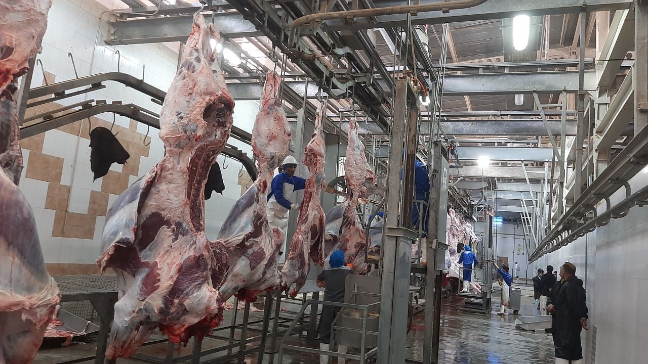 نظارت شرعی بر ذبح دام عید قربان در سیستان و بلوچستان نظارت شرعی بر ذبح دام عید قربان در سیستان و بلوچستان