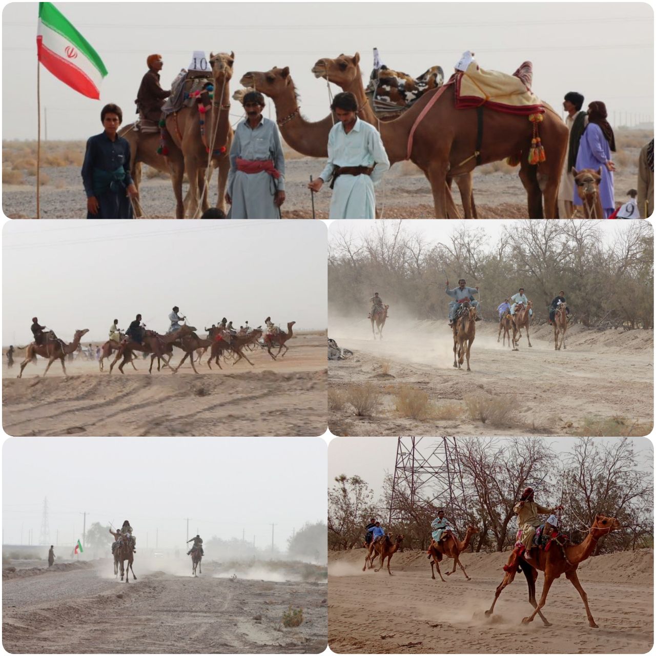 برگزاری دومین مسابقات شتردوانی کشور به میزبانی سیستان و بلوچستان