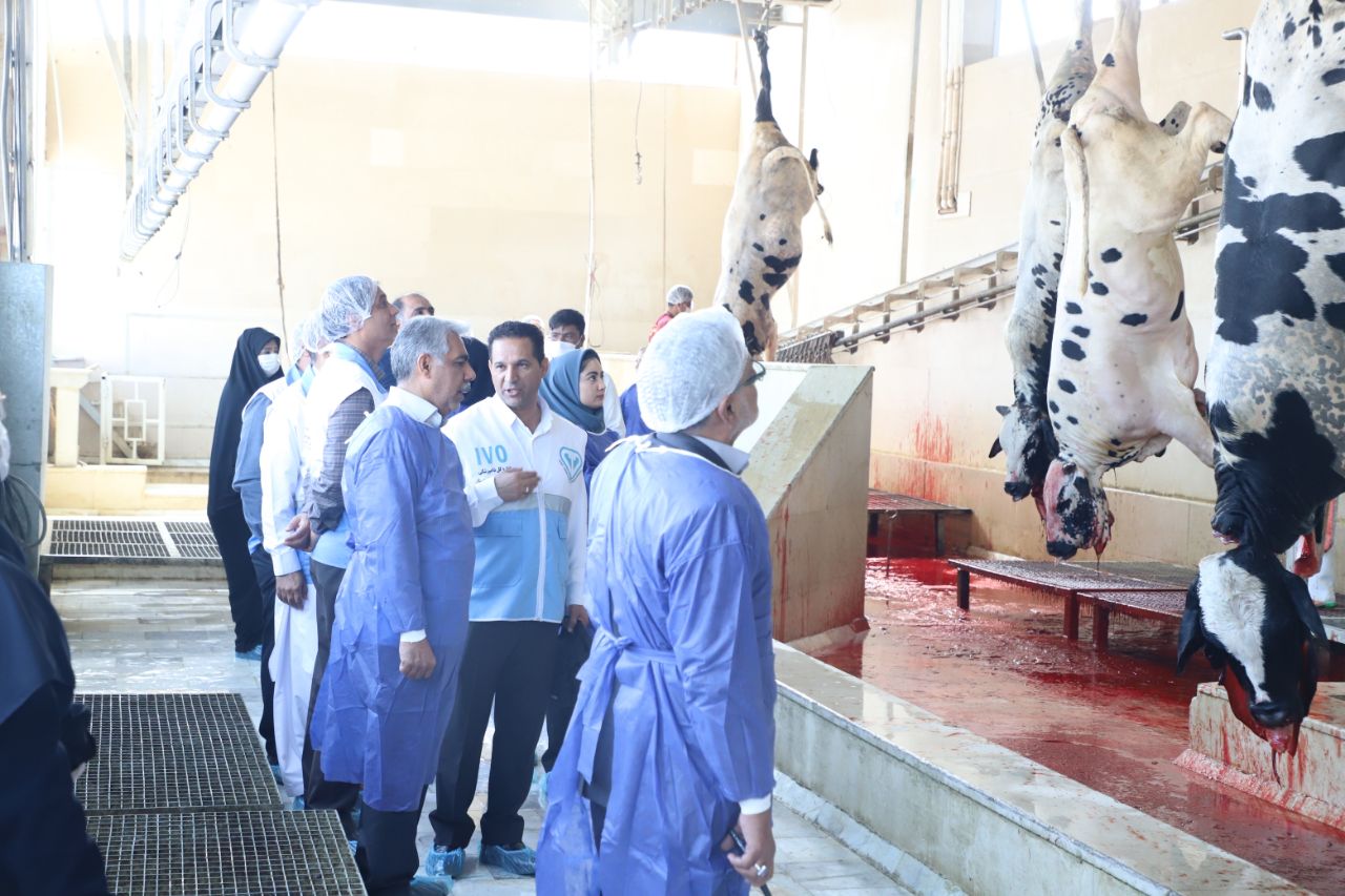 ۱۴ کشتارگاه صنعتی، بهداشتی دام و طیور در سیستان و بلوچستان فعالیت دارند ۱۴ کشتارگاه صنعتی، بهداشتی دام و طیور در سیستان و بلوچستان فعالیت دارند